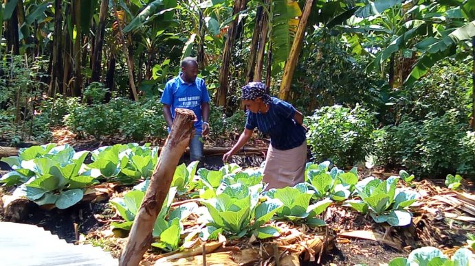 BasaijaBenjamin's tweet photo. Today we monitored our grandmother gardener in Maliba subcounty, Kakindo village. who is supported by #RCRAUGANDA under #1000womengardenproject in she is already harvesting alot of organic vegetables from her small piece of land through the expertise from the extension team. https://t.co/rZxBJGybl6