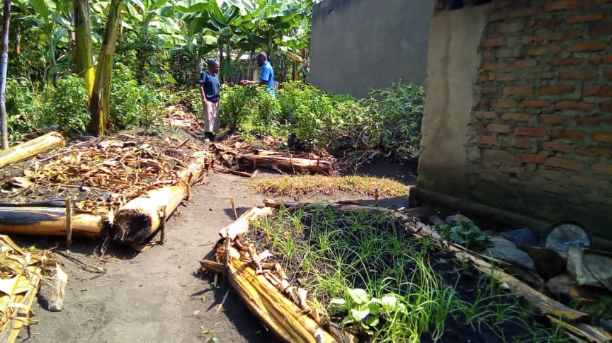 BasaijaBenjamin's tweet photo. Today we monitored our grandmother gardener in Maliba subcounty, Kakindo village. who is supported by #RCRAUGANDA under #1000womengardenproject in she is already harvesting alot of organic vegetables from her small piece of land through the expertise from the extension team. https://t.co/rZxBJGybl6