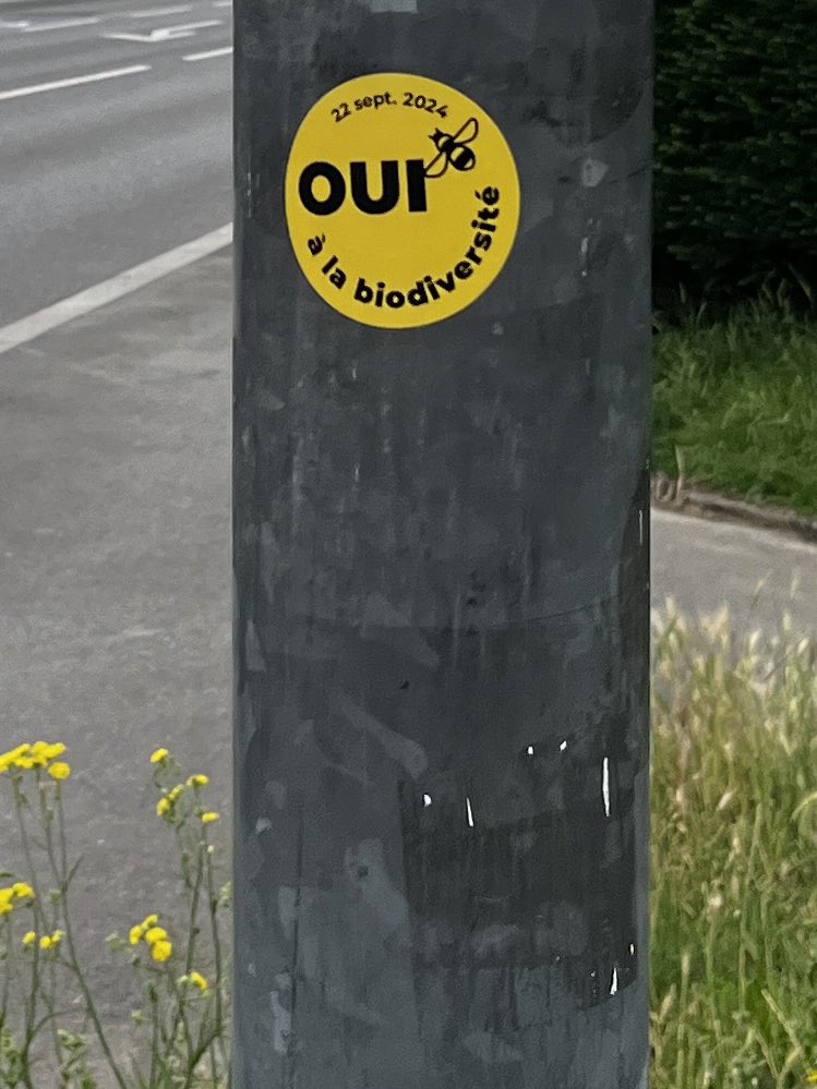 jay_raum's tweet photo. @InitBiodiv Et d’ici là, n’oublions pas de coller des milliers d’autocollants plastifiés au abords des pistes cyclables, même si la plupart d’entre-eux finiront dans les cours d’eau ! https://t.co/17lYMmj905