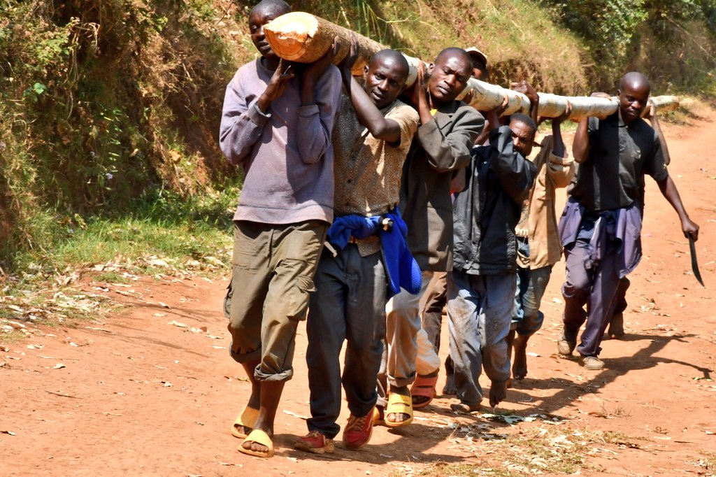 ABPInfos's tweet photo. #Burundi En vue de faciliter la circulation des biens et des personnes entre les zones #Burarana et #Ruganza de la commune #Matongo en @KayanzaProvince, la population, l'administration et l'église catholique sont en train de tracer la route reliant les collines #Ruvumu et #Kivumu https://t.co/ETI4tlTgOl