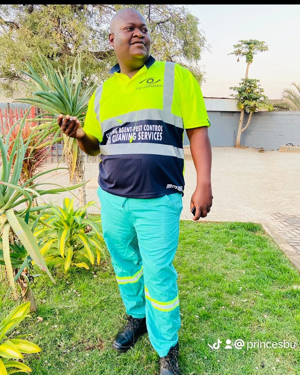 Clearing agent service🌏✈️⛴️🚆🚘🚍