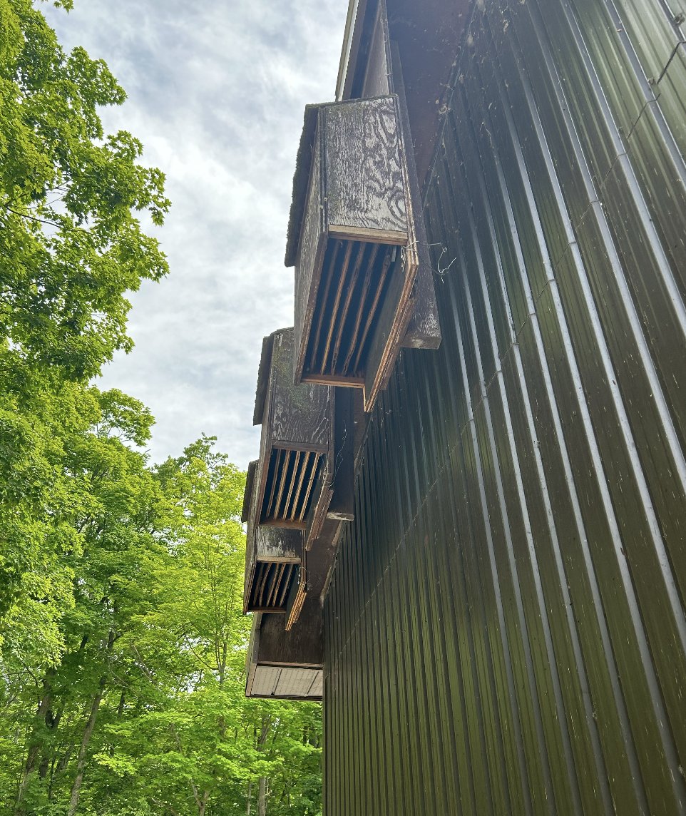 Sebastian Basualto tweet media