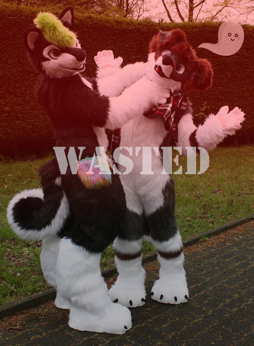 Takiwuff's tweet photo. Oh no @kanahusky is trying to kill me 😱

(I especially like the little floating ghost 👻) https://t.co/SUBya0M7gi