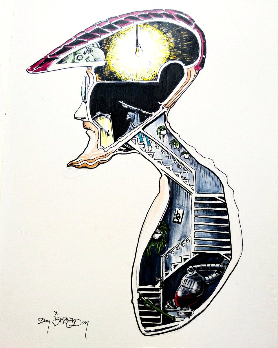 Don Iwana Don tweet media