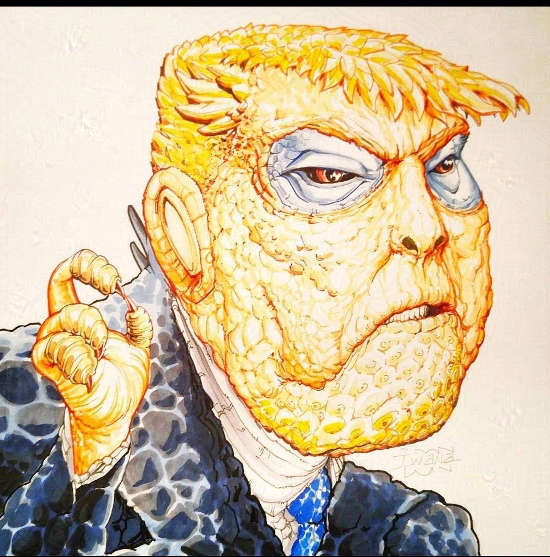 Don Iwana Don tweet media