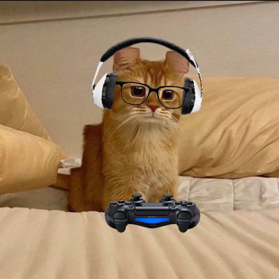 dooble bob tweet media