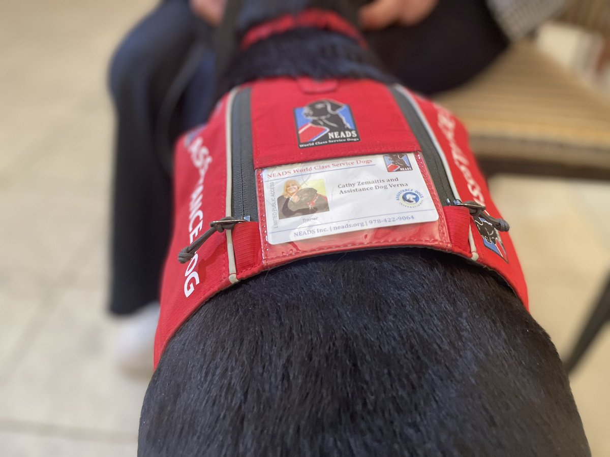 Madison Rogers (@madisonwbz) on Twitter photo Boston Public Library staffers are being trained on their rights and responsibilities around service dogs today, as NEADS rolls out the ‘red vest training program.’ They’re trying to curb the number of people who lie and say their pets are on the job. <a href="/wbznewsradio/">WBZ NewsRadio</a> Boston Public Library staffers are being trained on their rights and responsibilities around service dogs today, as NEADS rolls out the ‘red vest training program.’ They’re trying to curb the number of people who lie and say their pets are on the job. <a href="/wbznewsradio/">WBZ NewsRadio</a>
