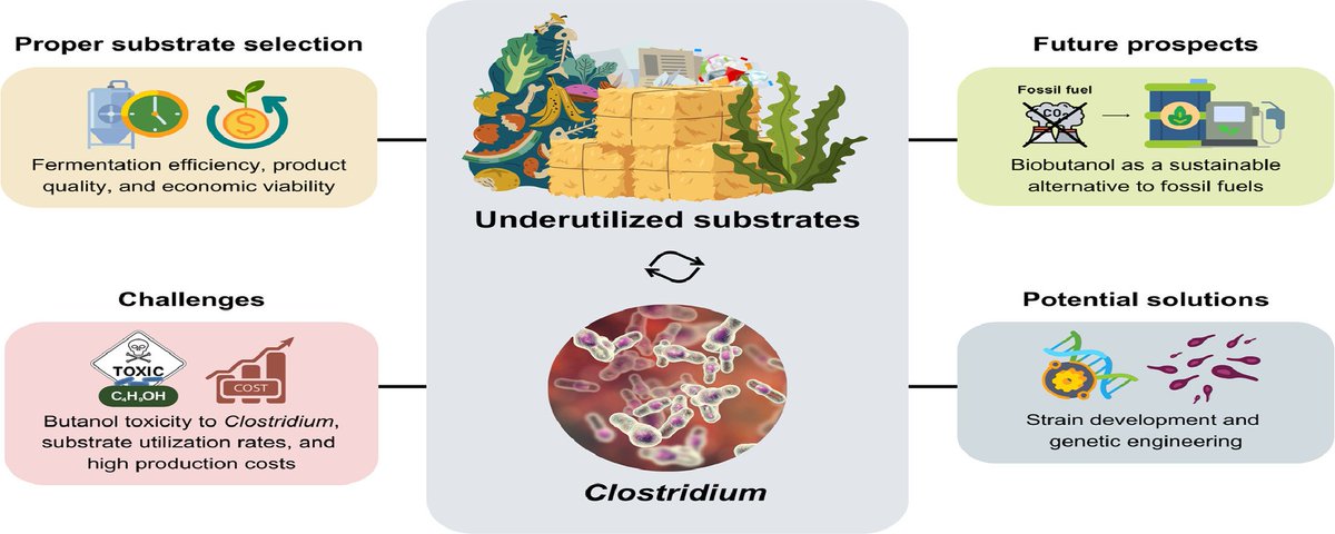 MicrobesInfect's tweet image. Biobutanol production from underutilized substrates using #Clostridium:

Unlocking untapped potential for sustainable #energy development

sciencedirect.com/science/articl… #OpenAccess #sustainability