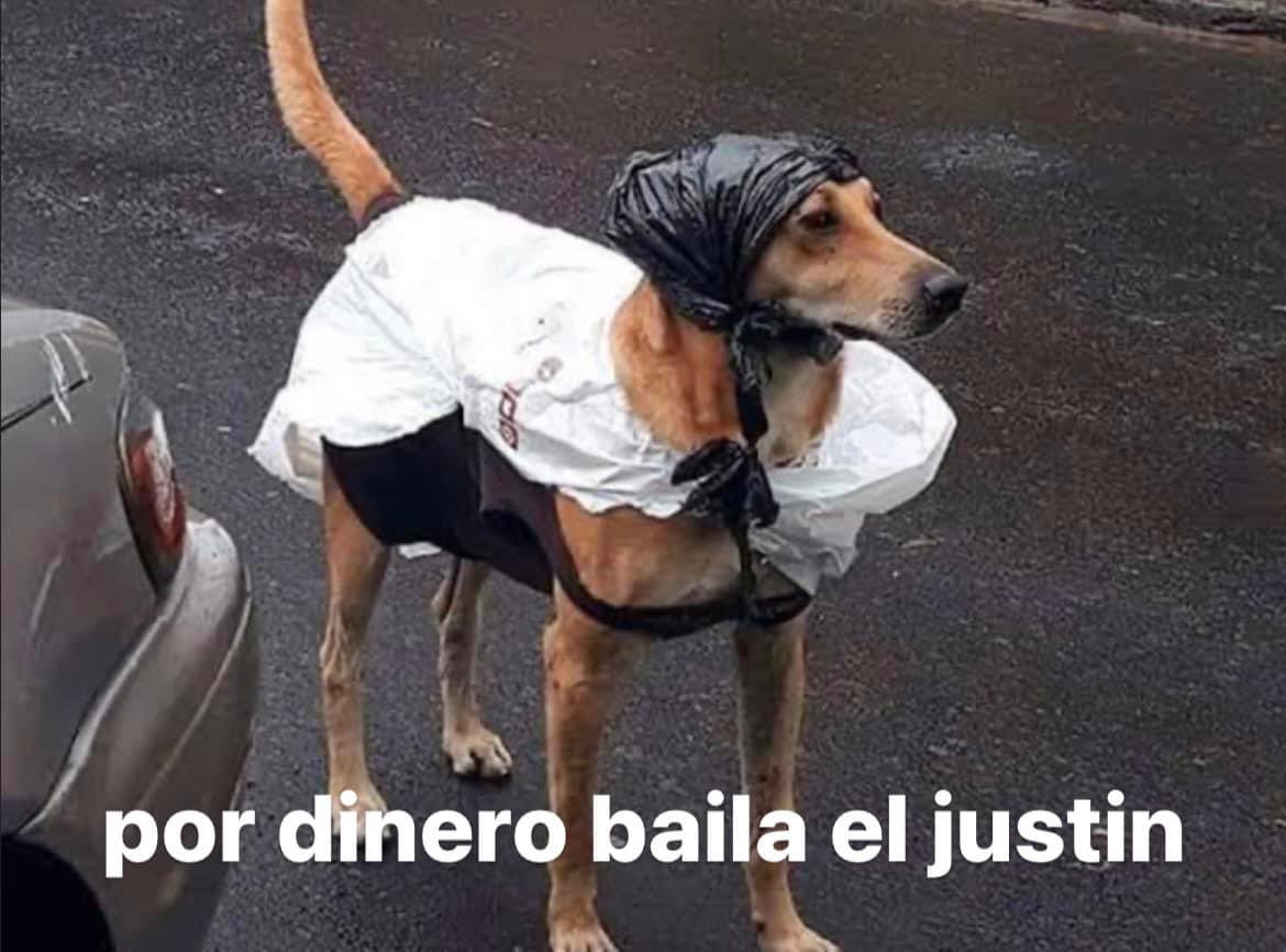 drewlegend_'s tweet photo. cada vez que me acuerdo que puedo tener un concierto privado de justin bieber por 10 millones de dólares https://t.co/eMlA1w2NZR
