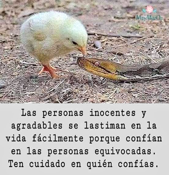 Ten cuidado y cuida tu corazón. 
(๑˃̵　ᴗ　˂̵)و