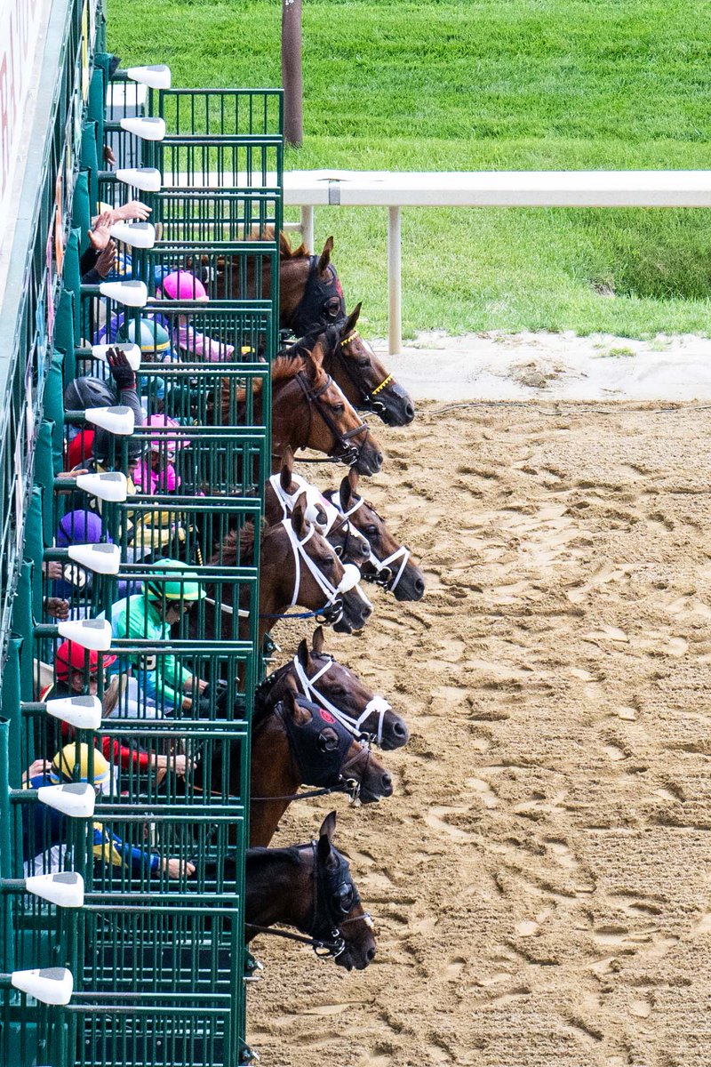 They're off at Saratoga. Season 156. Opening day. Race 1. The winner was #7 Empty Tomb <a href="/theTDN/">TDN</a>