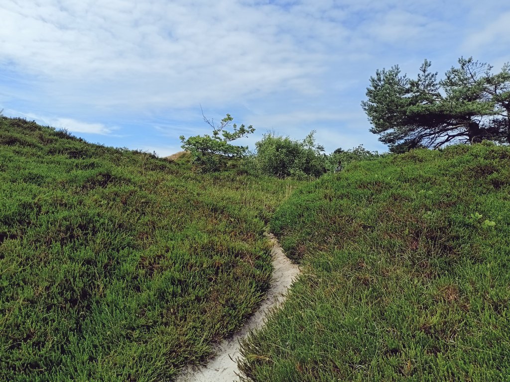 Philipp Maurischat tweet media