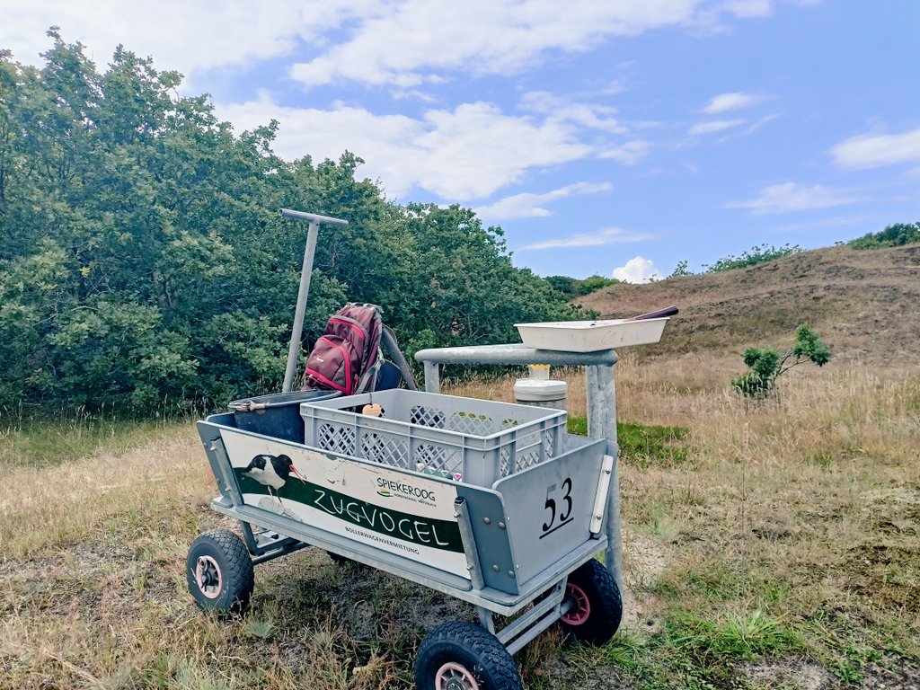 Philipp Maurischat tweet media