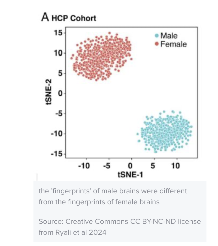 pitiklinov's tweet photo. Nuevo estudio muestra enormes diferencias entre los cerebros de hombres y mujeres. Los investigadores no encontraron solapamiento entre hombres y mujeres, y rechazaron la idea de un “continuo":

“Investigadores de Stanford han utilizado recientemente métodos de inteligencia artificial para examinar la actividad cerebral de unos 1.500 adultos jóvenes de entre 20 y 35 años. Los neurocientíficos saben desde hace años que cada cerebro humano se caracteriza por una "huella dactilar" de actividad cerebral en reposo, única para cada individuo. Los neurocientíficos de Stanford utilizaron técnicas de inteligencia artificial de big data para determinar la huella dactilar de cada uno de esos 1.500 adultos jóvenes y luego compararon a las mujeres con los hombres. ¿Se diferenciaban las mujeres de los hombres? ¿Había solapamiento? Los resultados fueron sorprendentes.”

Como se puede ver, no había un continuo: las huellas dactilares femeninas de la actividad cerebral eran muy diferentes de las huellas dactilares masculinas de la actividad cerebral en reposo, sin solapamiento. Estos resultados sugieren claramente que lo que ocurre en el cerebro de una mujer en reposo es significativamente diferente de lo que ocurre en el cerebro de un hombre en reposo.”

https://t.co/Q8tKJDFabj