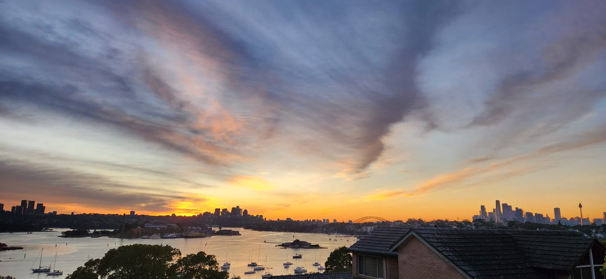 Kingybob tweet media