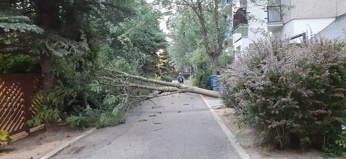 MiastoUrsynow's tweet image. #Surowieckiego 8 🌳⛈️ facebook.com/share/p/HxyyRF…