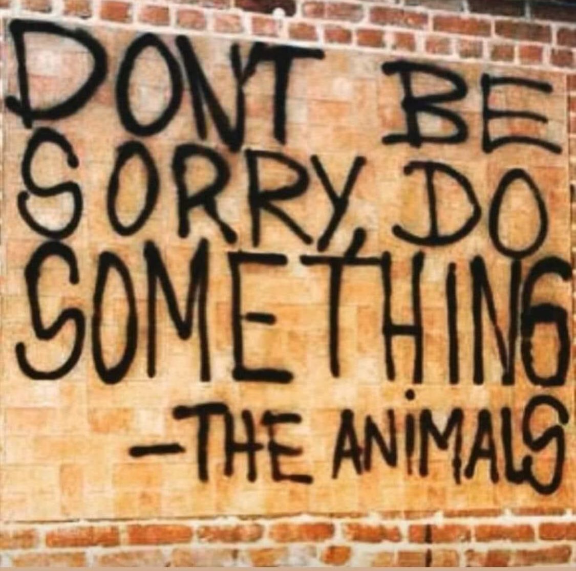 AnimalandLandXO's tweet photo. https://t.co/ixHix9VoLr