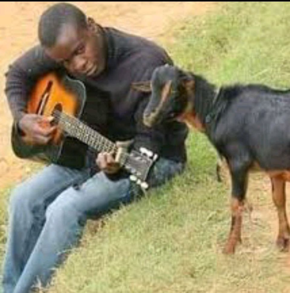 PeterMu88313749's tweet photo. @AbabuNamwamba @WilliamsRuto Me listening to you right now https://t.co/rwjzkoEkCK