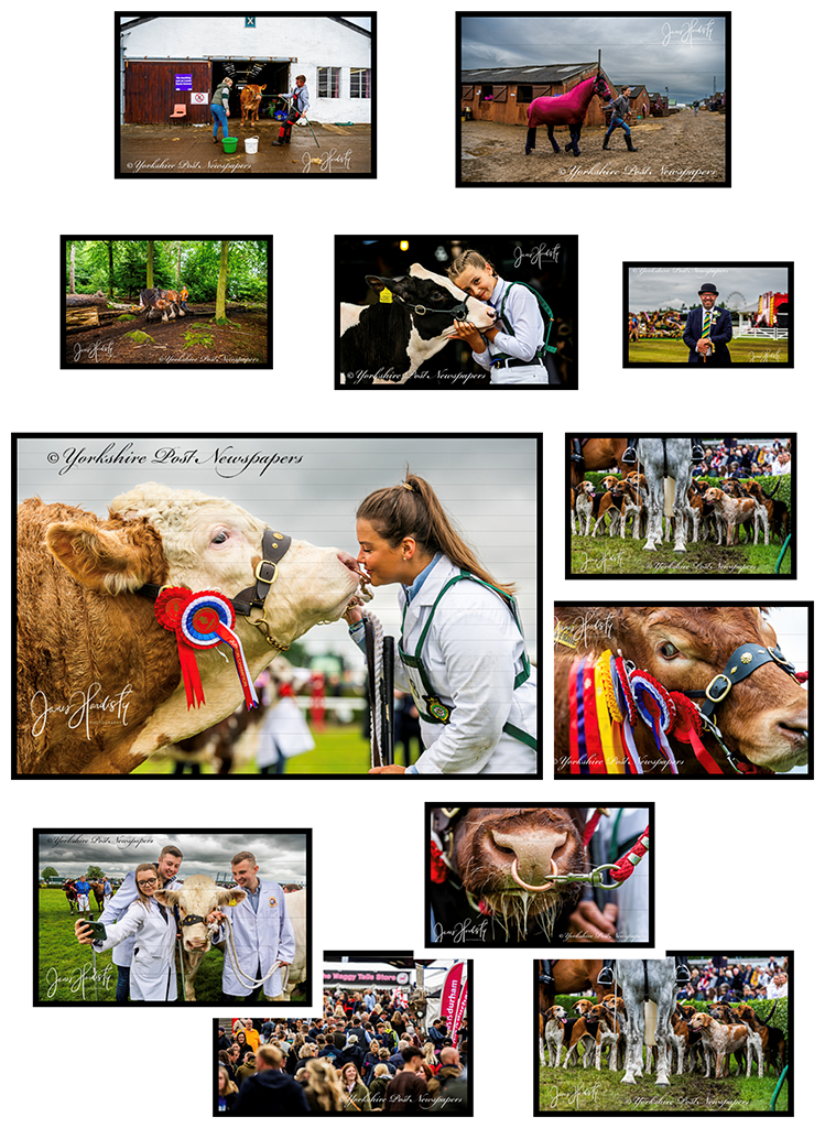 Yorkshire Post In Pictures (@ypinpictures) on Twitter photo Day 3 - 165th #GreatYorkshireShow <a href="/greatyorkshow/">Great Yorkshire Show</a> #Harrogate a few of my #images taken today - for the best #show coverage see tomorrows #Yorkshirepost #online <a href="/yorkshirepost/">The Yorkshire Post</a> and this #weekends #CountryPost it's a #cracker <a href="/MarisaCashill/">Marisa Cashill</a> <a href="/JayMitchinson/">James Mitchinson</a> <a href="/emmaloisryan/">Emma Ryan</a> <a href="/ReporterRuby/">Ruby Kitchen</a> Day 3 - 165th #GreatYorkshireShow <a href="/greatyorkshow/">Great Yorkshire Show</a> #Harrogate a few of my #images taken today - for the best #show coverage see tomorrows #Yorkshirepost #online <a href="/yorkshirepost/">The Yorkshire Post</a> and this #weekends #CountryPost it's a #cracker <a href="/MarisaCashill/">Marisa Cashill</a> <a href="/JayMitchinson/">James Mitchinson</a> <a href="/emmaloisryan/">Emma Ryan</a> <a href="/ReporterRuby/">Ruby Kitchen</a>