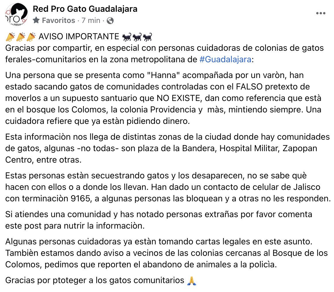 RT 🙏🏼
📣📣IMPORTANTE 🐈‍⬛🐈‍⬛

Gracias por compartir, en especial con personas cuidadoras de colonias de gatos ferales-comunitarios en la zona metropolitana de #Guadalajara:

Una persona que se presenta como "Hanna" a veces acompañada por un varòn, han estado sacando gatos de 
⬇️