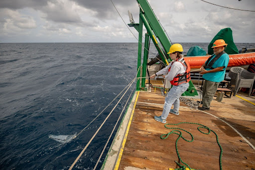 Chemical Currencies of a Microbial Planet (C-CoMP) (@microbialplanet) on Twitter photo 🌊📣 New C-CoMP blog post: <a href="/BryndanDurham/">Bryndan Durham</a> and Durham lab members <a href="/UF/">FLORIDA</a>, including C-CoMP Postdoc <a href="/NicoleLynnBell1/">Nicole Lynn-Bell</a>, led a short course on Microbial Life in the Oceans that included oceanographic field work! Photos by Lisa Coe <a href="/punk_scientist/">Lisa Coe</a>. Learn more here: tinyurl.com/nc3ccrct 🌊📣 New C-CoMP blog post: <a href="/BryndanDurham/">Bryndan Durham</a> and Durham lab members <a href="/UF/">FLORIDA</a>, including C-CoMP Postdoc <a href="/NicoleLynnBell1/">Nicole Lynn-Bell</a>, led a short course on Microbial Life in the Oceans that included oceanographic field work! Photos by Lisa Coe <a href="/punk_scientist/">Lisa Coe</a>. Learn more here: tinyurl.com/nc3ccrct