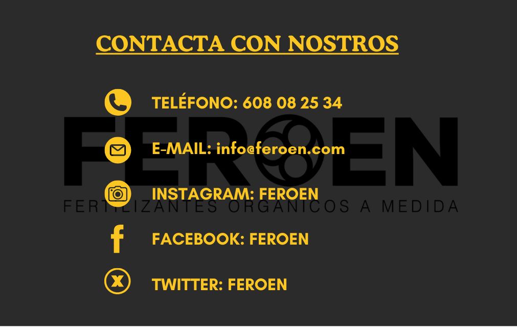 FEROEN tweet media
