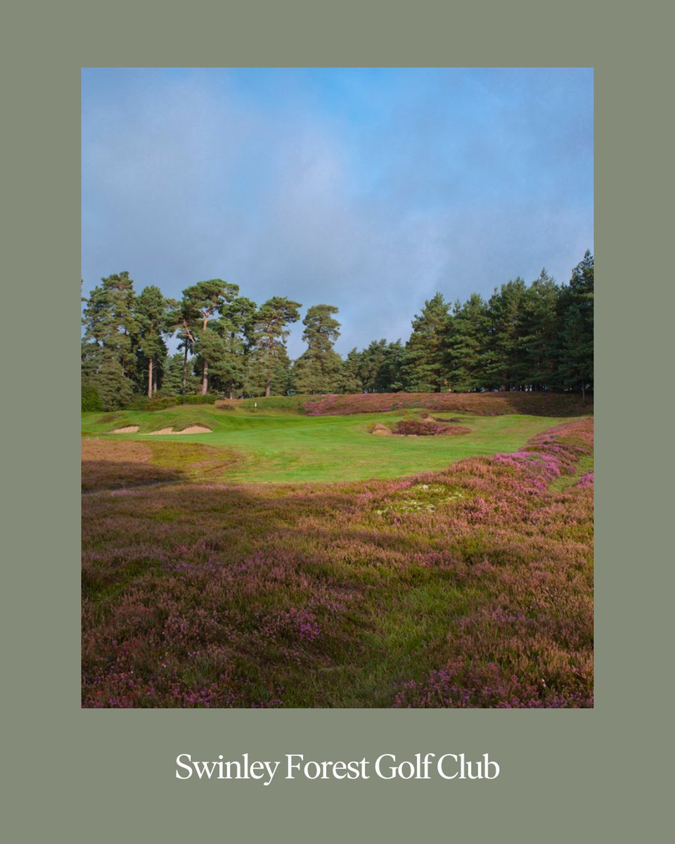 top100golf's tweet photo. - London Golf Dream Itinerary - Introducing Harry Colt -
How many of these have you played?!
Read the full article now https://t.co/3bzkpOQXJt
📷 Kevin Diss (1,2,3) / Larry Lambrecht (4)
#LondonGolfDream #HarryColt #GolfItinerary https://t.co/P3UPsYPvSu