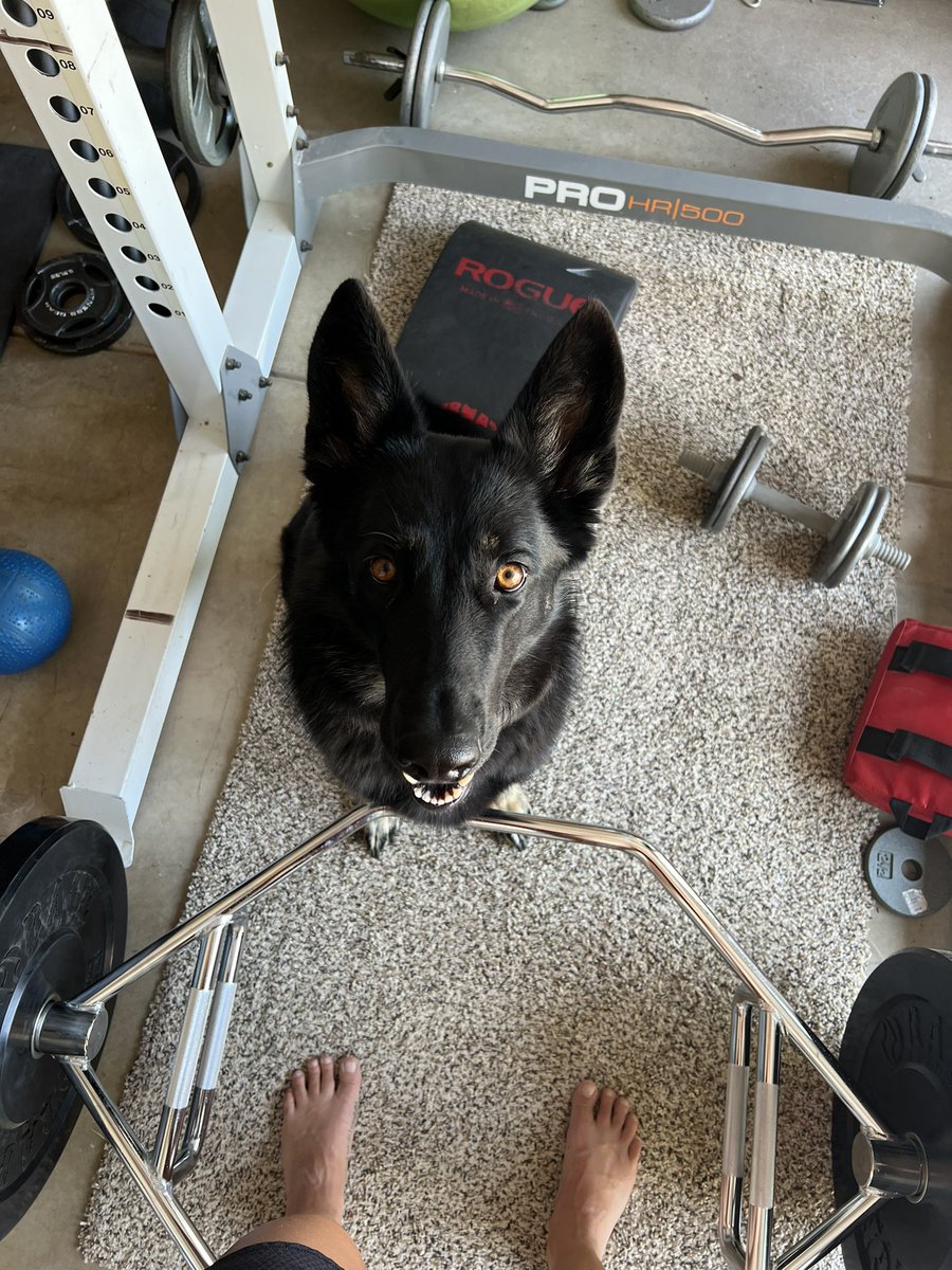 Hannah Mainolfa tweet media