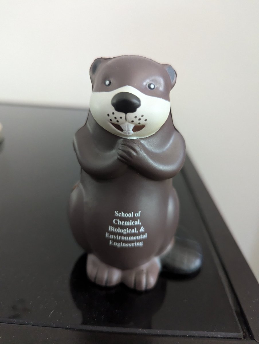 Binata Joddar tweet media