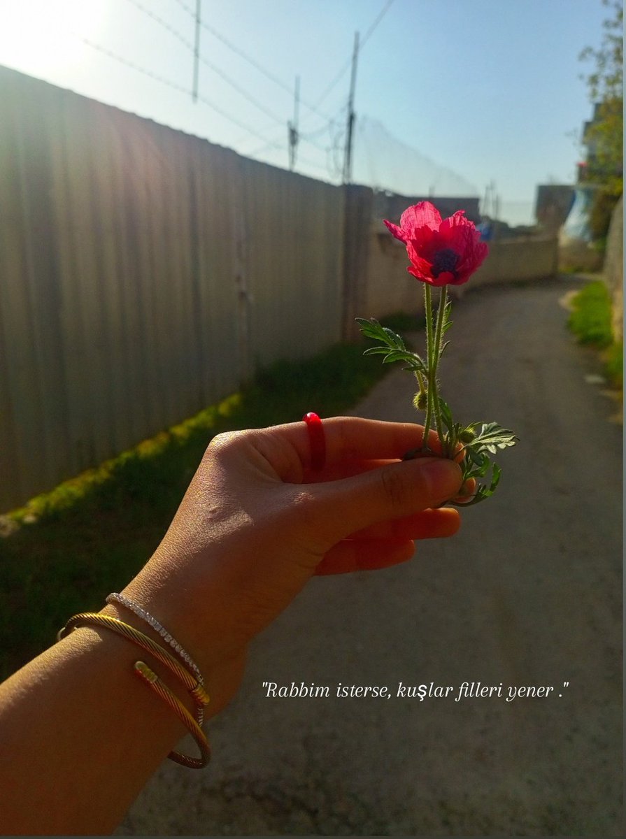 "yeter ki  ona güven, ellerini açmaktan da hiç vazgeçme." Rabbim isterse kuşlar, filleri yener."