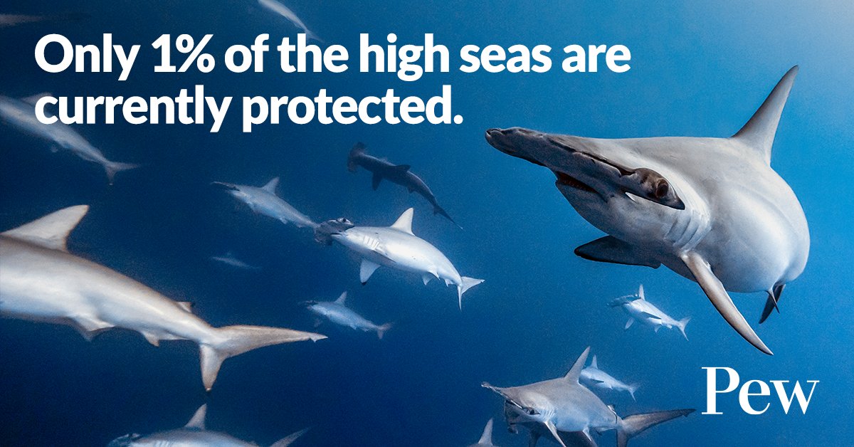 Pew Environment tweet media