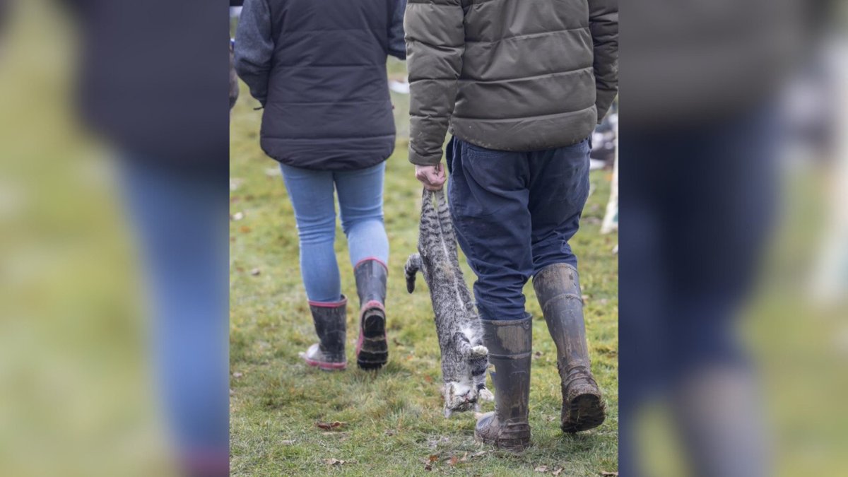 Network4Animals's tweet photo. Join us as we demand humane treatment for #cats in #NewZealand, where hundreds of cats are killed every year in a vicious hunting competition! Sign the petition: https://t.co/ySPLIKHJFS.
Please help us make a life-saving difference.
#NetworkforAnimals #NFA #NFACats #NewZealand https://t.co/ZSljQPNUEd