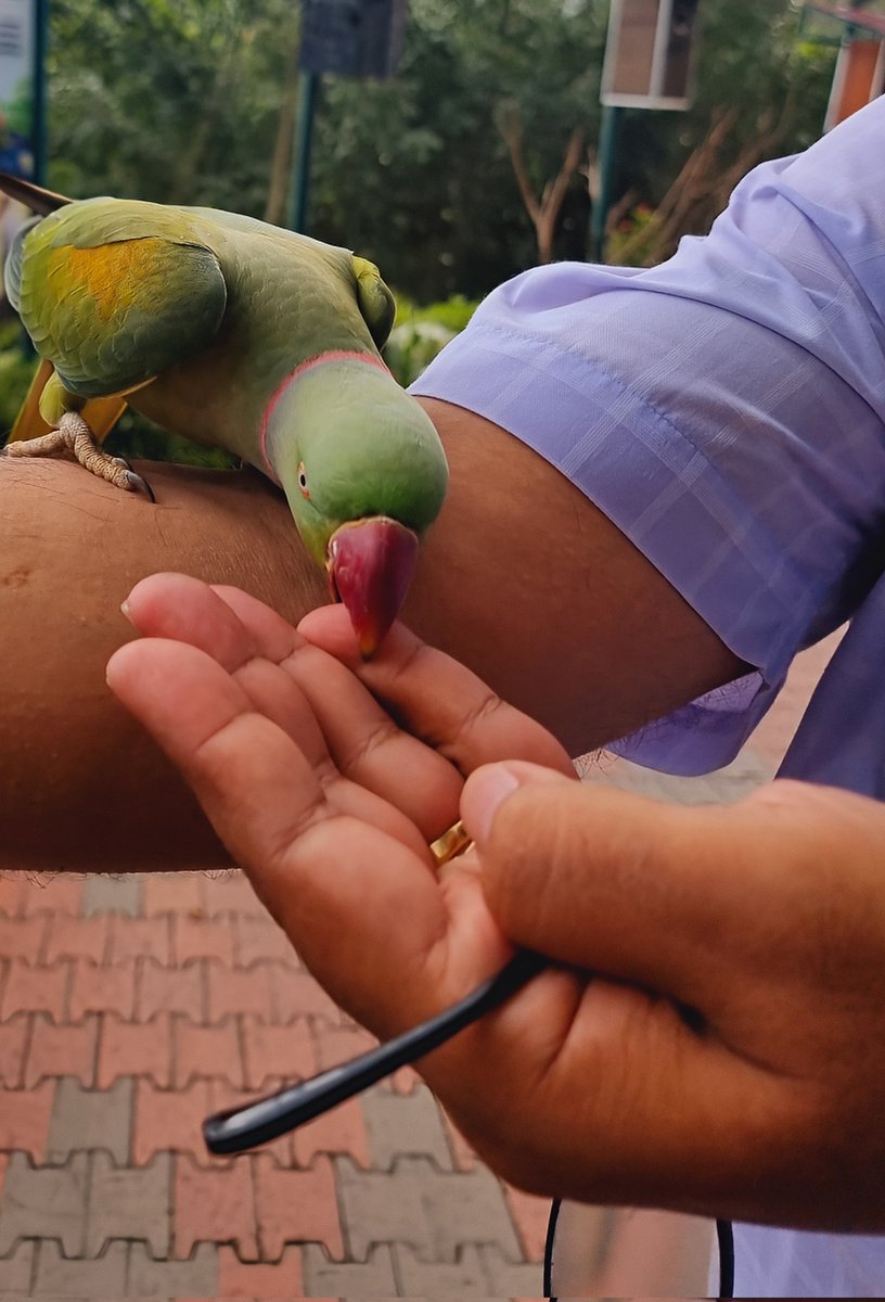 mskondal's tweet photo. Love has no Language its a feeling of immense joy fullness 
#Indian2 #Aparna #WinGalaxyZFold6 #ROMANCE_UNTOLD #ChampionsTrophy2025 #BreakingNews @Sony @CanonUSA @Canon_India @NikonUSA @NikonIndia @AMAZlNGNATURE @elonmusk @Gagan4344 @Desmond1Photo @ArtinAmerica https://t.co/QecPA4AqJE