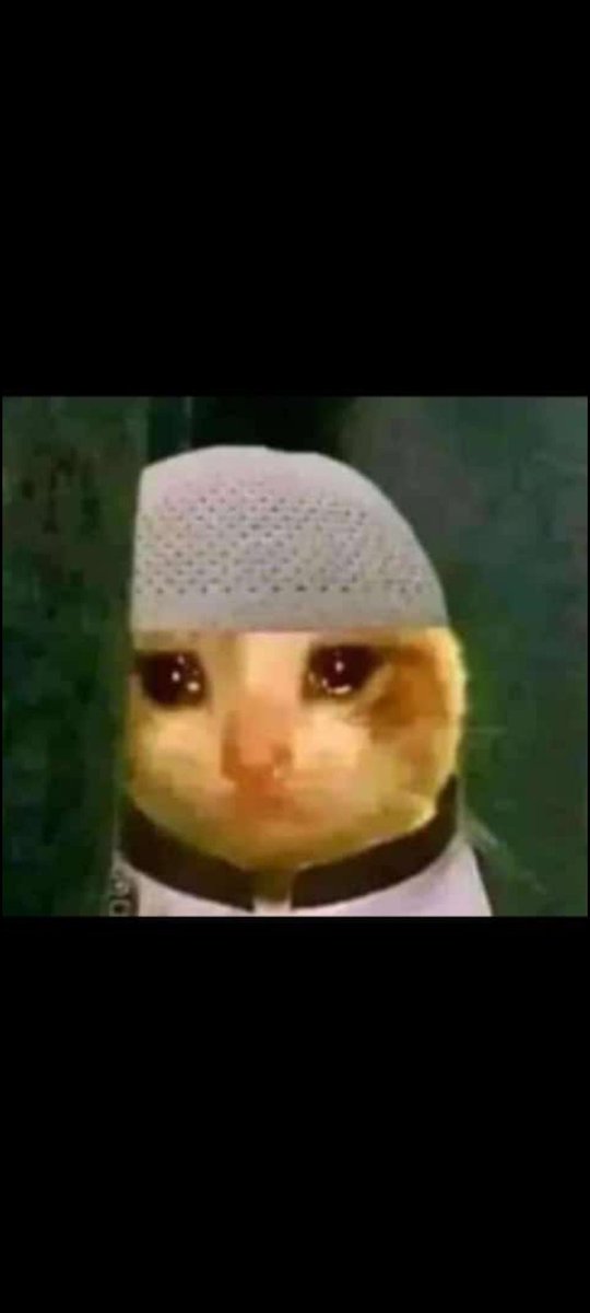 SkimSultan's tweet photo. Nobody:Bambi tondabisa Lt mi cover my bald head https://t.co/VG1PKQOc94