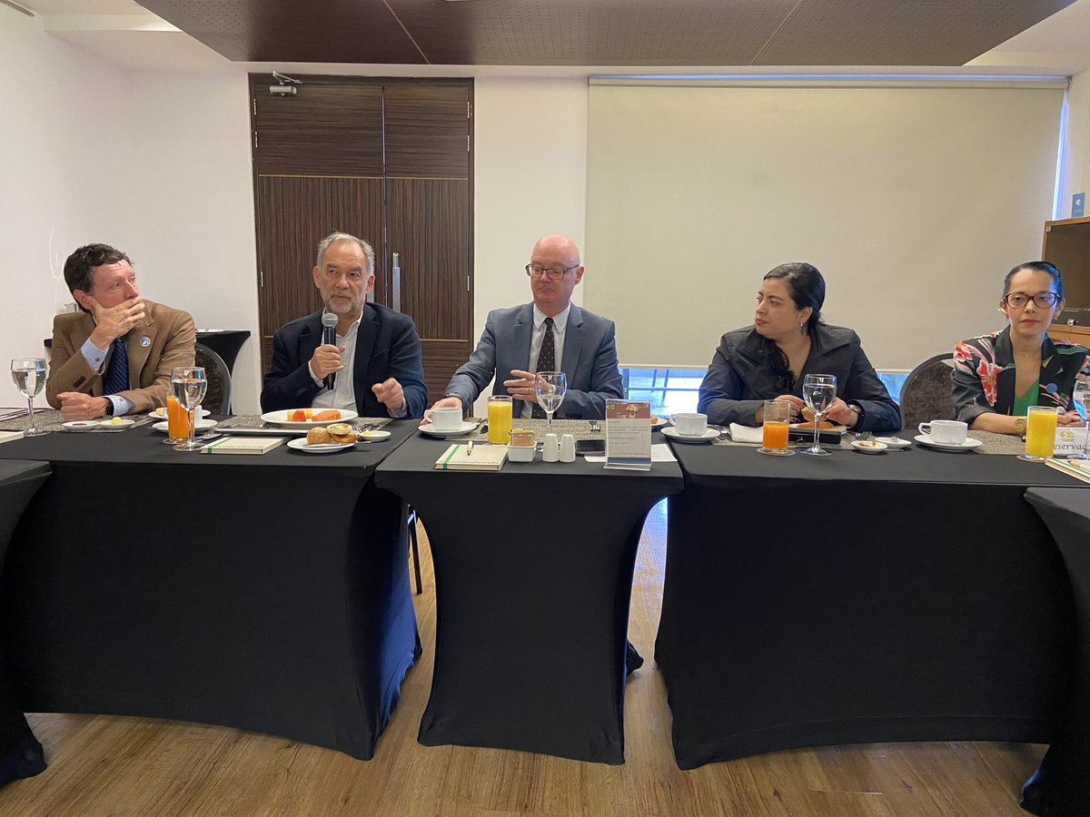 FAO_Colombia's tweet photo. .@FAO🇨🇴 y el Reino Unido de Gran Bretaña e Irlanda del Norte realizan el lanzamiento del programa #AIM4Forests Colombia 2024 que busca apoyar el monitoreo forestal con modernas tecnologías y el uso de datos espaciales y teledetección, para contribuir a reducir la deforestación. https://t.co/CkmG2HNuJ7