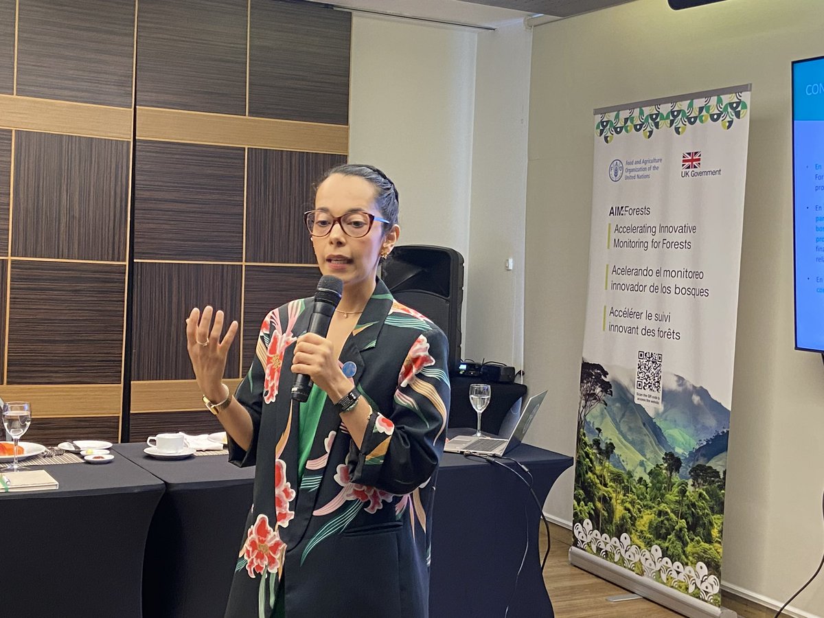 FAO_Colombia's tweet photo. .@FAO🇨🇴 y el Reino Unido de Gran Bretaña e Irlanda del Norte realizan el lanzamiento del programa #AIM4Forests Colombia 2024 que busca apoyar el monitoreo forestal con modernas tecnologías y el uso de datos espaciales y teledetección, para contribuir a reducir la deforestación. https://t.co/CkmG2HNuJ7