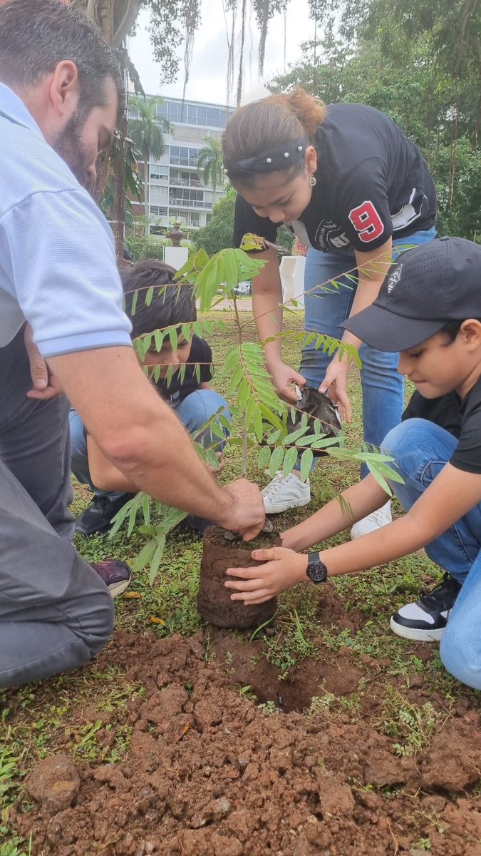 LuisEAlfaroM's tweet photo. Siembra en Parque Urracá y Cinta Costera. Gracias. @Mayer @salvadoraviad por tremenda iniciativa. Por parte de Empresas Melo donamos ABONAT para toda la siembra, un abono orgánico producido a partir de gallinaza la cual es compostada en un proceso aeróbico se 56 días, y aporta los nutrientes que necesitan las plantas y a su vez mejora el suelo.

Adicionalmente donamos plantones de Guachapalí Rosado, Árbol María, Tamarindo de Manila, Carnavalillo y Guayacancillo para poner nuestro granito de arena en esta gran iniciativa del @panamamunicipio