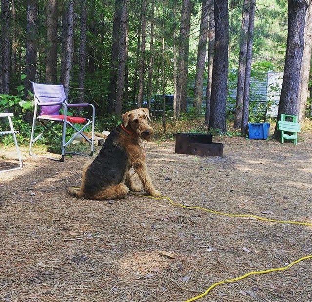 This weekend, escape to the outdoors at Chutes Provincial Park! 🌲✨ 

With 5 non-electric sites and 3 electric sites available, Friday night just got better. 😁 

Book your spot now! 🏕️ 

#ChutesProvincialPark #OntarioParks #OntarioParksNE