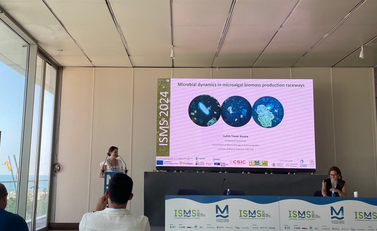 loglab_bcn's tweet photo. Judith @Traver_Azuara  presenting some results on the microbiome of microalgae carried out as part of the  @prodigioproject at the #ISMS2024 in Valencia 🥘 https://t.co/WXDTj2CXbc