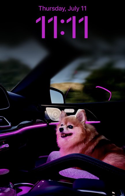 11:11 11th https://t.co/FPGvFrwnnG