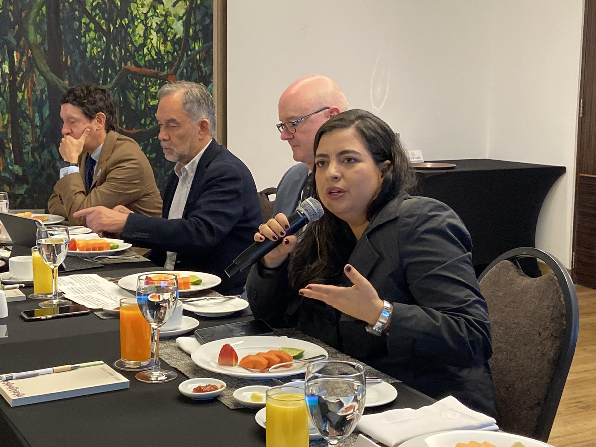 FAO_Colombia's tweet image. Para el @IDEAMColombia el proyecto #AIMforForests es un aliado para el Sistema Nacional de Monitoreo Forestal (IFN+SNIF+SMByC) lo que le permitirá seguir entregando cifras confiables al país y a aliados internacionales que apoyan estos proyectos&quot;: @Ghisecheverry directora #IDEAM