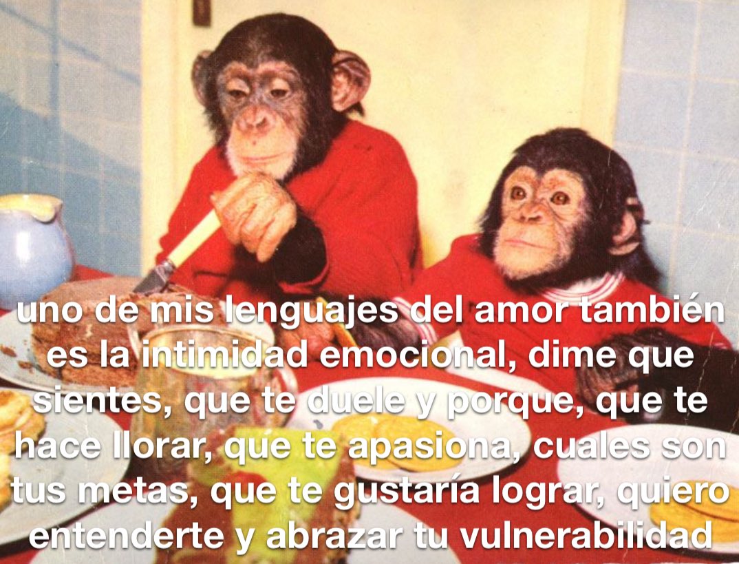 conoloracigarro's tweet photo. https://t.co/nBujmBA4UU