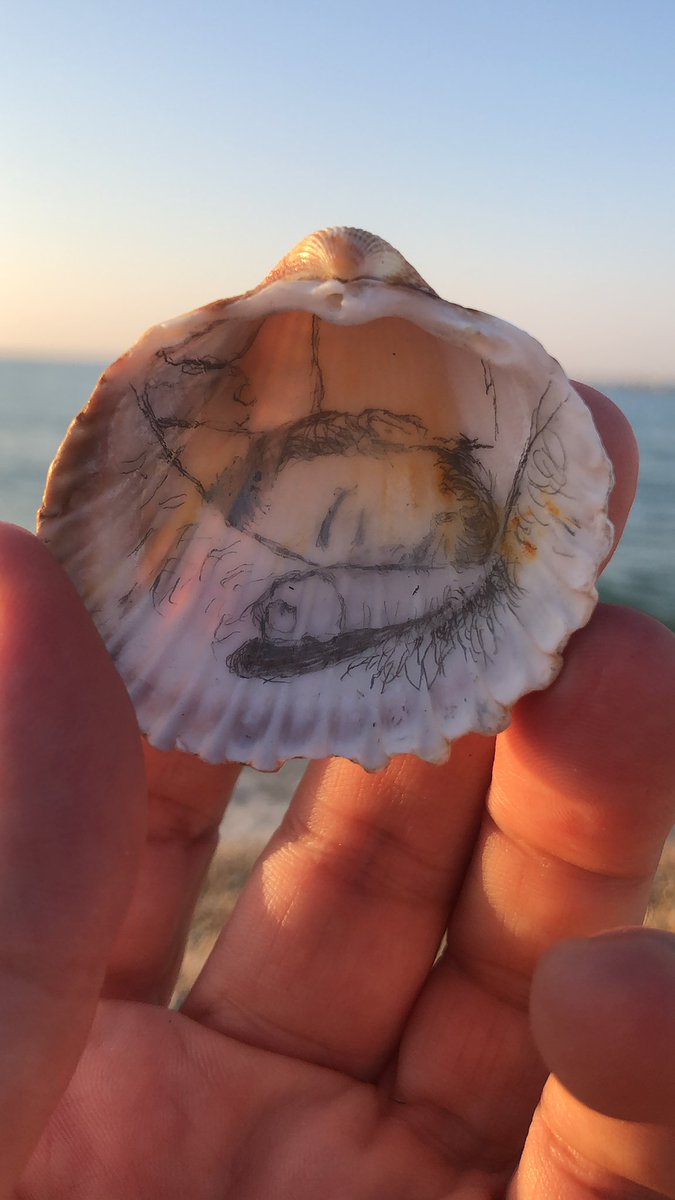 garadraw's tweet photo. Every morning
Pencil on a shell
Inspired by @stellarshot93 @Xelahotboy
#eroticportrait #dickportrait #gayartist #gaylove #gayeroticart #lgbtqart #meninlove #nakedmen #nsfw https://t.co/mIyYyBcb06