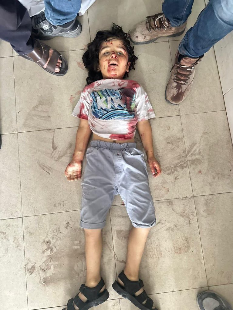 Nadira Ali🇵🇸 tweet media