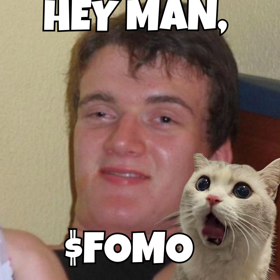 nearly 3000 holders and we have been on raydium for only 10 hours. when will you $FOMO?