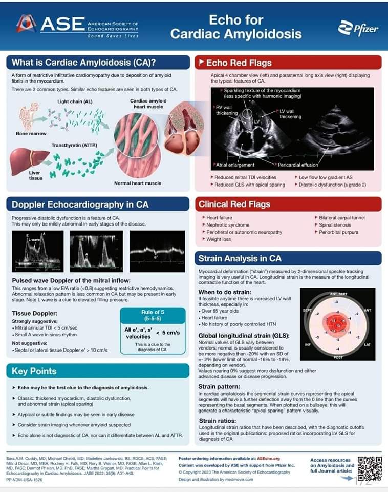 The Heart tweet media