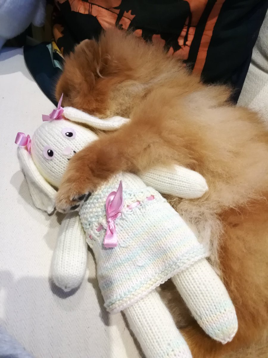 Hyvää yötä lajitoverit, ja kaikki muutkin.