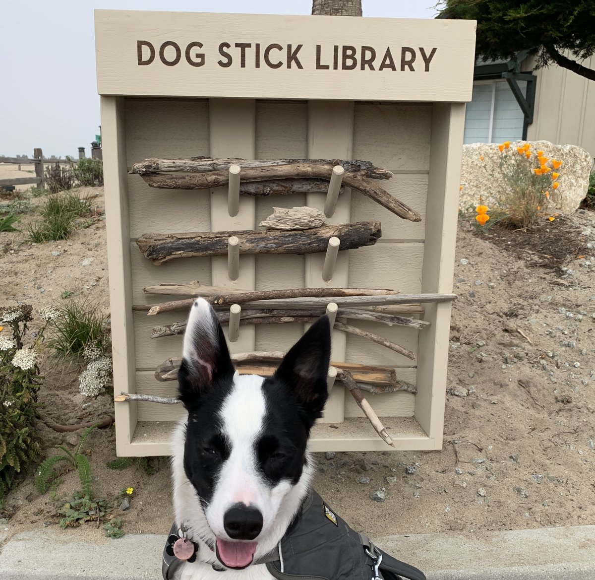 TCZmak's tweet photo. The great thing about libraries? They're fun for everyone! #LibraryLove #AuthorsParadise #TCZmak https://t.co/HOy84EkMtJ