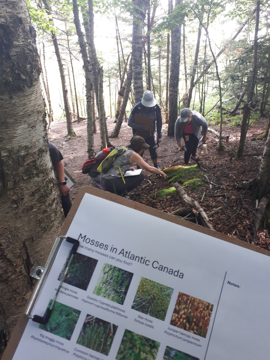 asds_eal's tweet photo. Teachers in @ASD_South went on a moss walk, having participated in Gathering Moss book study by Potawatomi botanist Robin Wall Kimmerer to "explore and learn from the elegantly simply lives of mosses" through a two eyed seeing approach. https://t.co/8he2iU559i