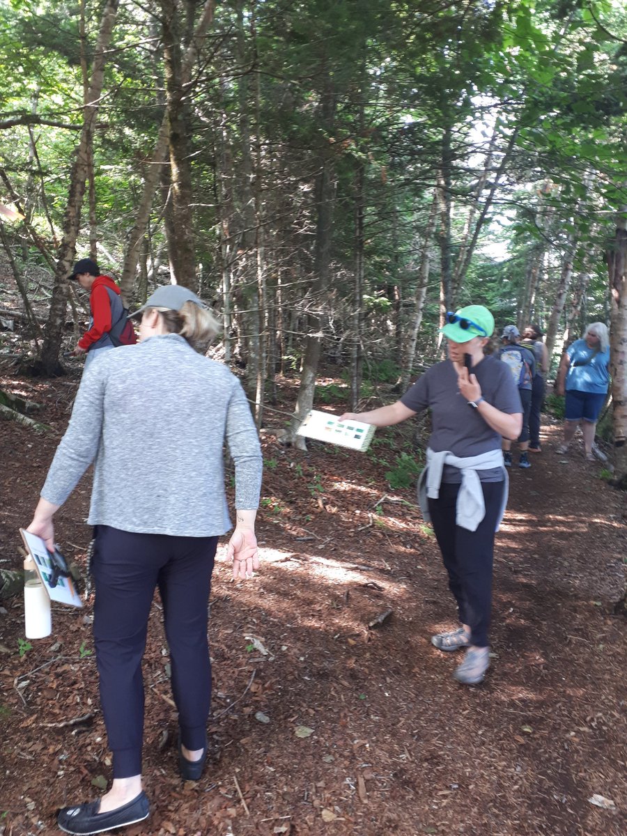 Teachers in <a href="/ASD_South/">Anglophone South School District ASD-S</a> went on a moss walk, having participated in Gathering Moss book study by Potawatomi botanist Robin Wall Kimmerer to "explore and learn from the elegantly simply lives of mosses" through a two eyed seeing approach.